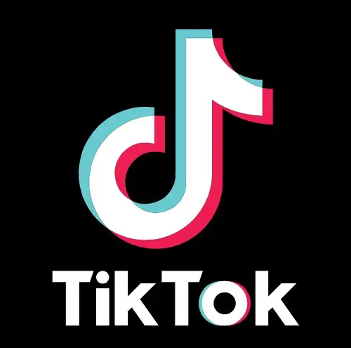 Free Tiktok Accounts 2021 | Tik Tok Account And Password